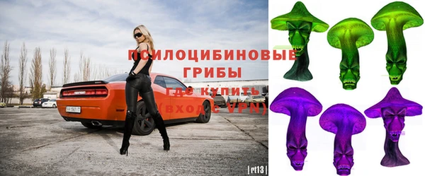Альфа ПВП Алзамай